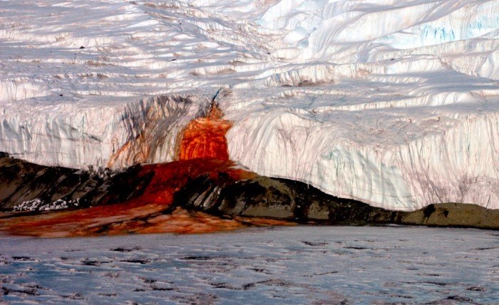 Что учёным удалось найти во льдах Антарктиды за 50 лет?