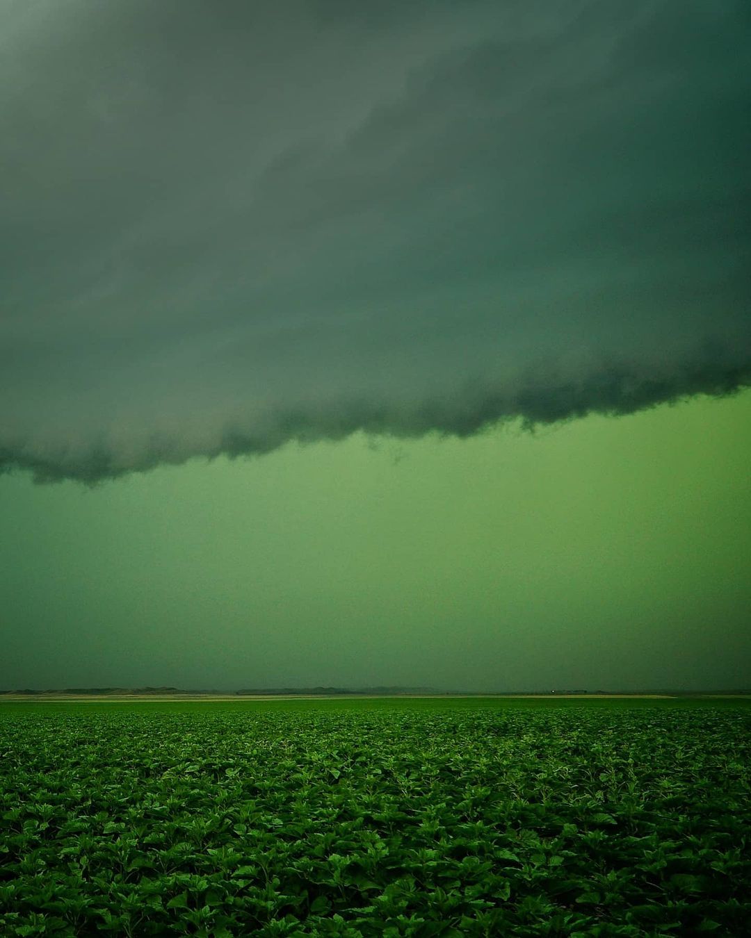 Яростные торнадо, грозы и штормы на снимках Грега Джонсона