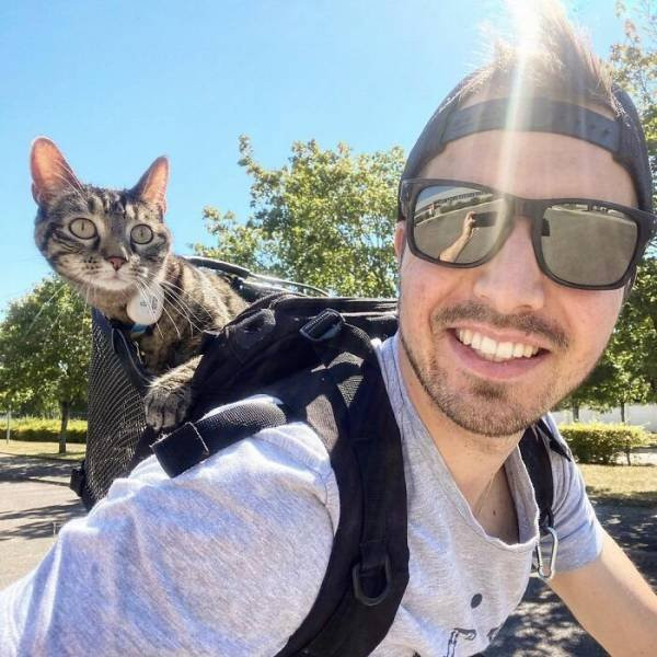 Кошка Катод обожает везде путешествовать со своим хозяином