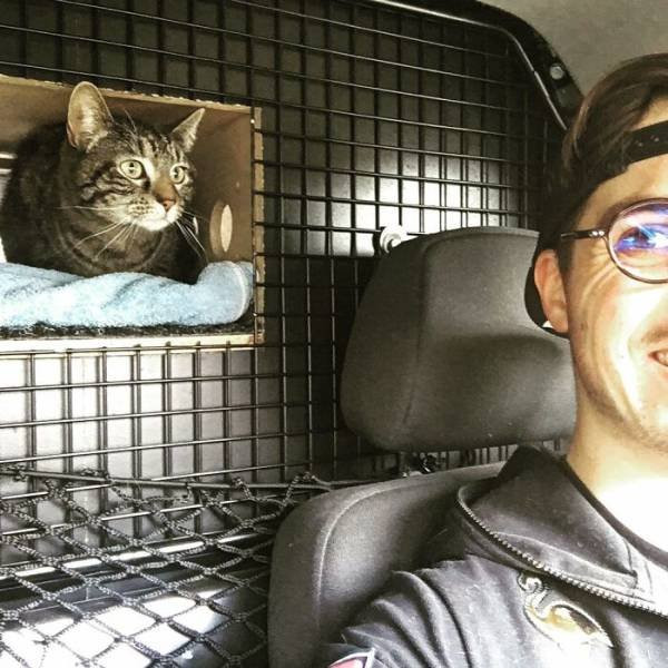 Кошка Катод обожает везде путешествовать со своим хозяином