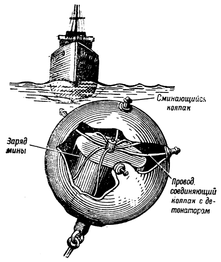 Морская мина рогатая фото