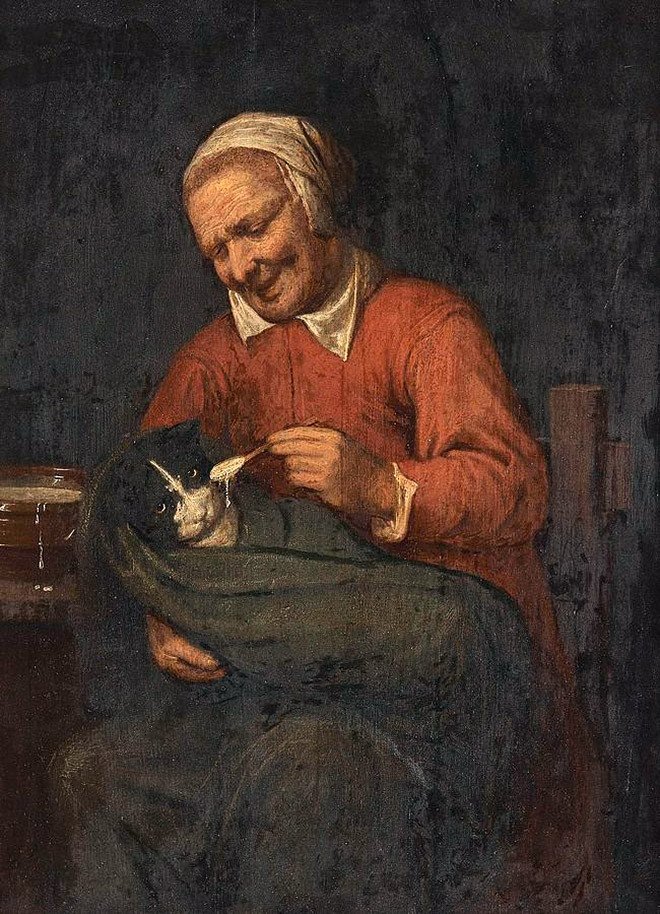 Люди эпохи Возрождения кормили котов с ложечки