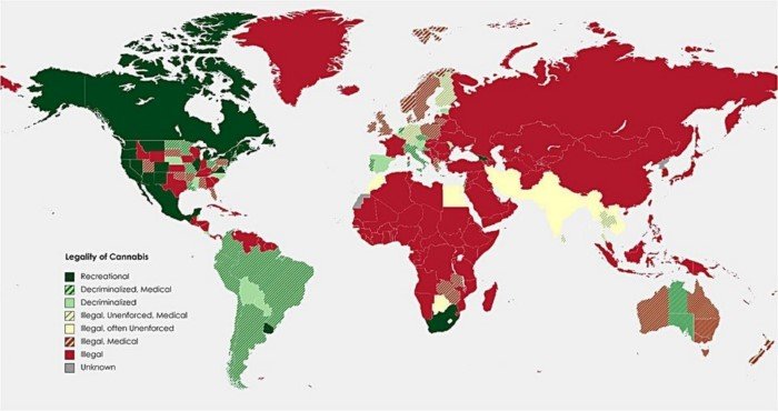 Занимательные карты передают интересные факты