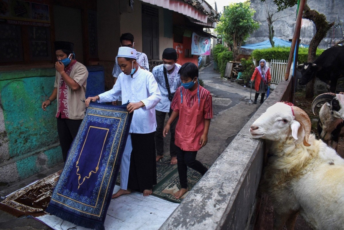 Ритуальное жертвоприношение животных в исламский праздник Курбан-байрам