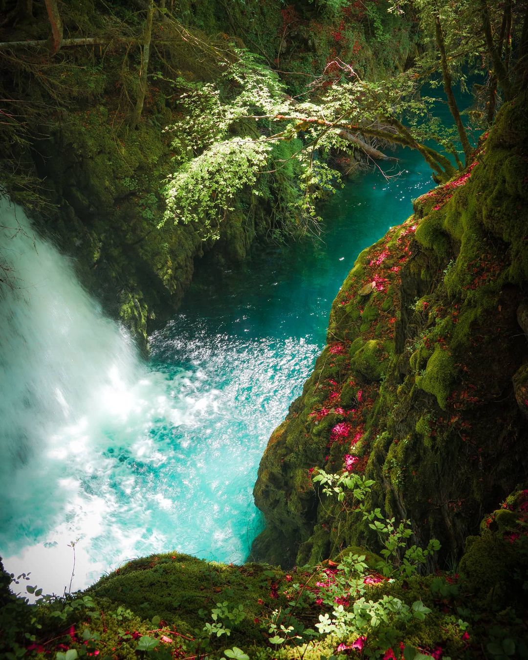 Волшебные пейзажи Швейцарии от Синха Боксбергера Природа