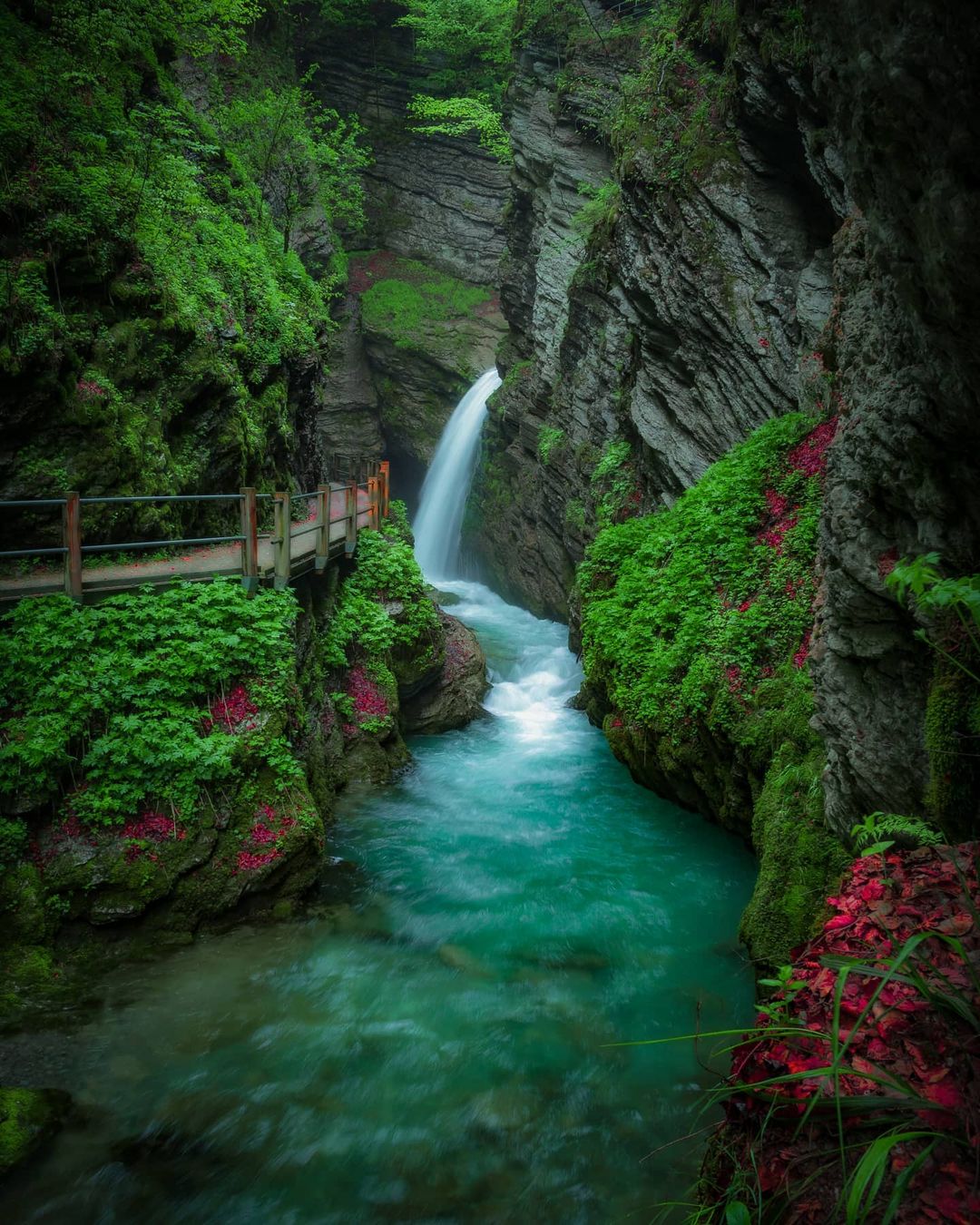 Волшебные пейзажи Швейцарии от Синха Боксбергера Природа