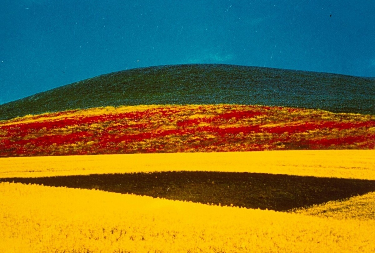 Универсальная гармония пейзажа на снимках Франко Фонтана