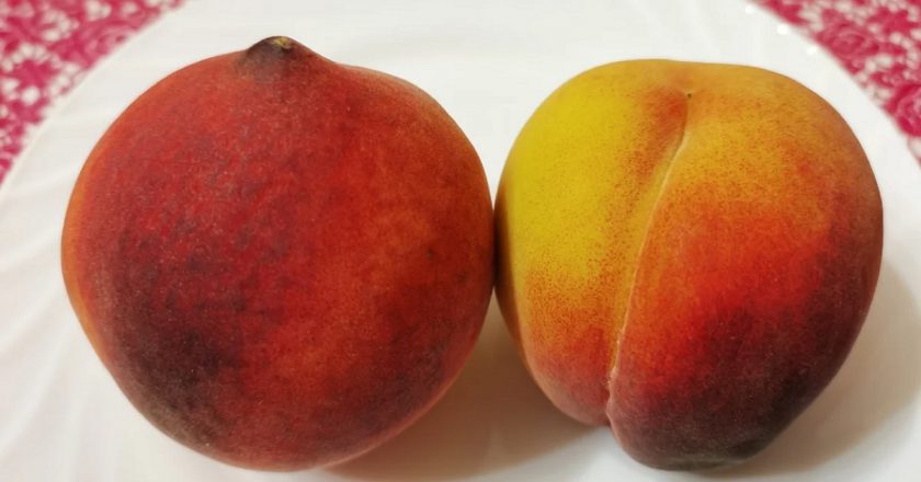 Как правильно выбрать вкусный и сладкий персик