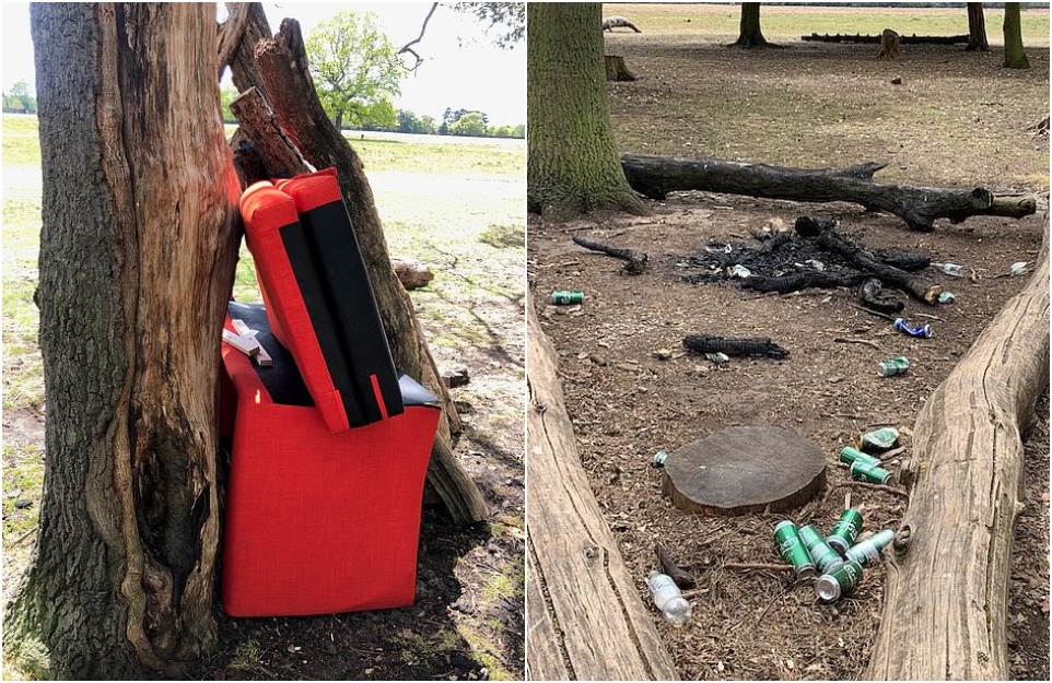 Удручающее влияние мусора на дикую природу в лондонских парках