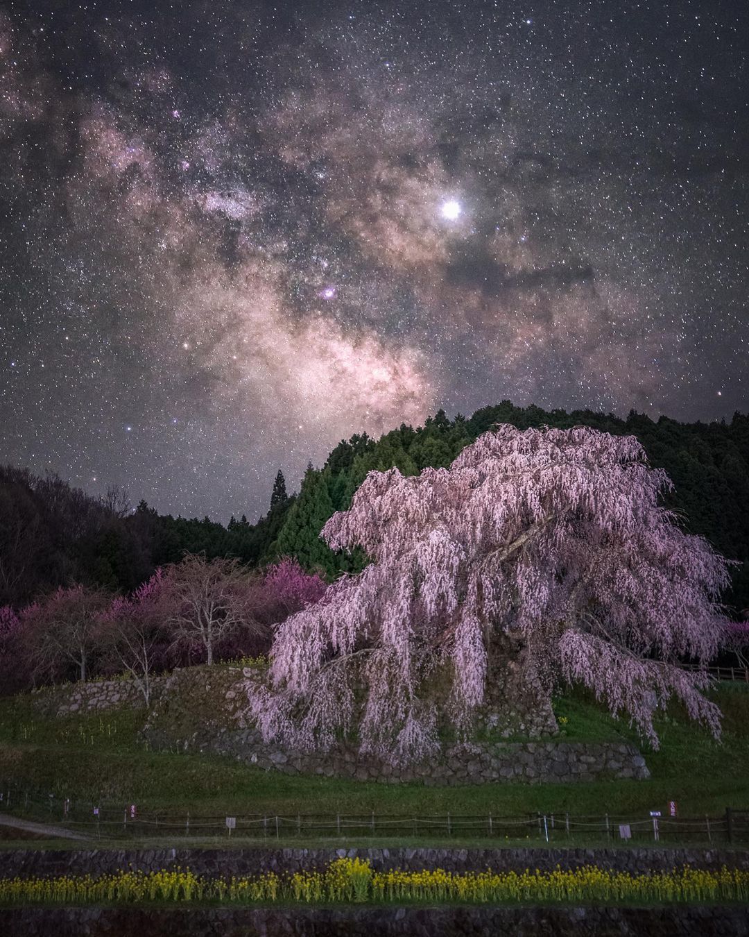 Пейзажи Японии на снимках Мицуки Кояма