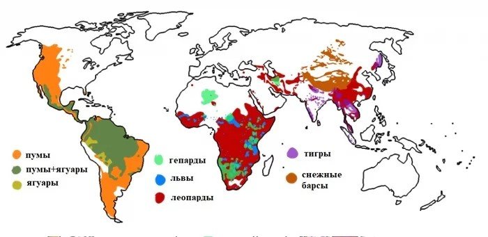 Занимательные карты мира и интересные факты