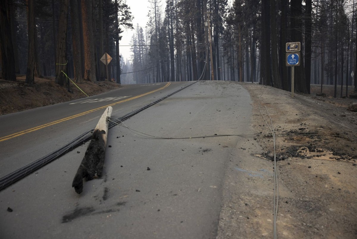 Пожар в Калифорнии уничтожил городок Гризли-Флэтс