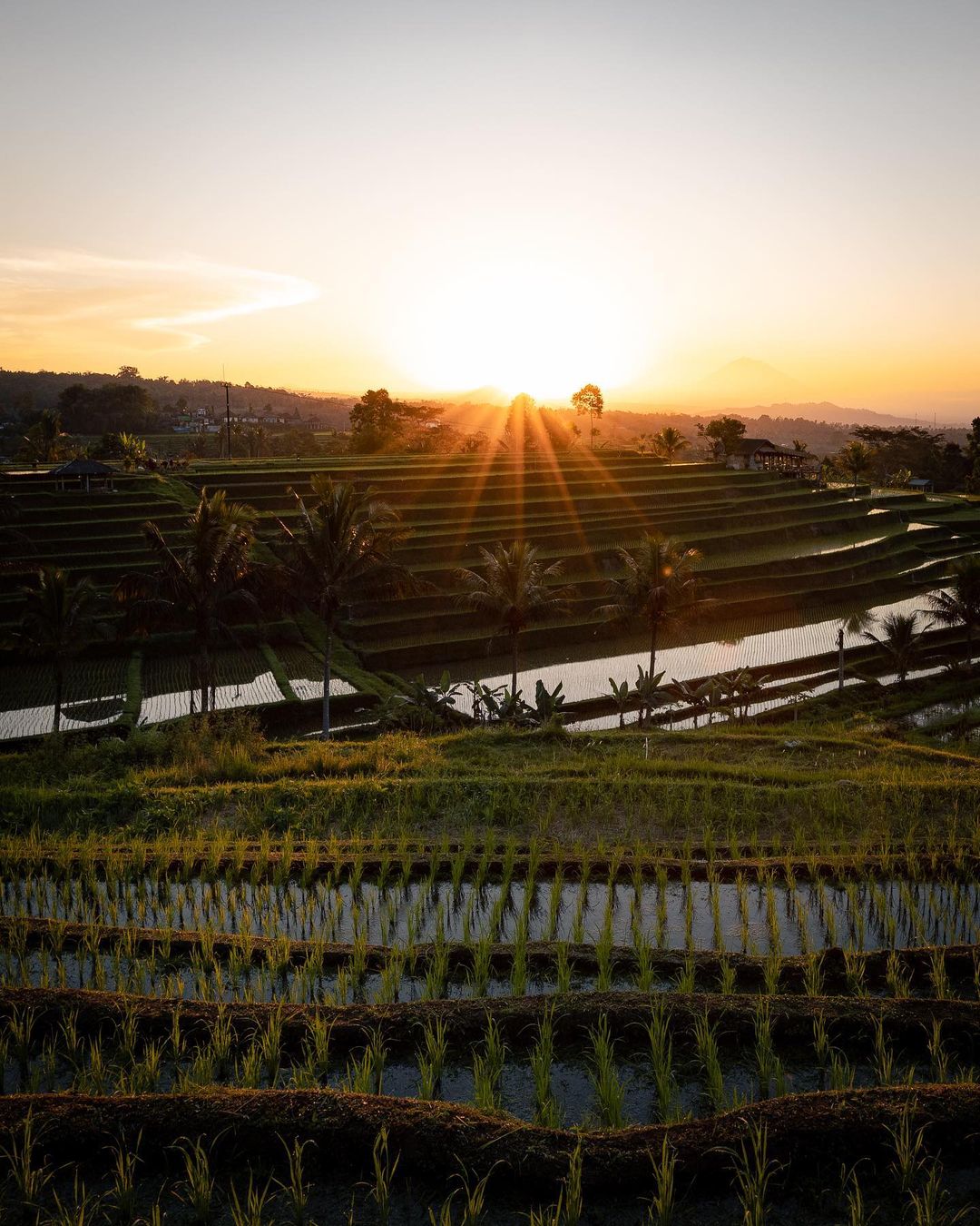 Путешествия и приключения на снимках Джонни Мелона Путешествия и приключения на снимках Джонни Мелона Путешествия