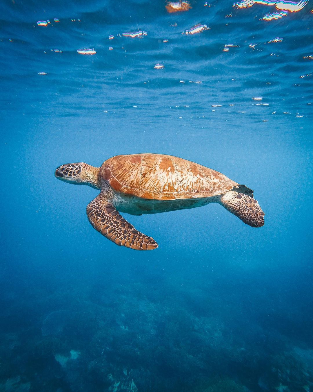 Путешествия и приключения на снимках Джонни Мелона Путешествия и приключения на снимках Джонни Мелона Путешествия