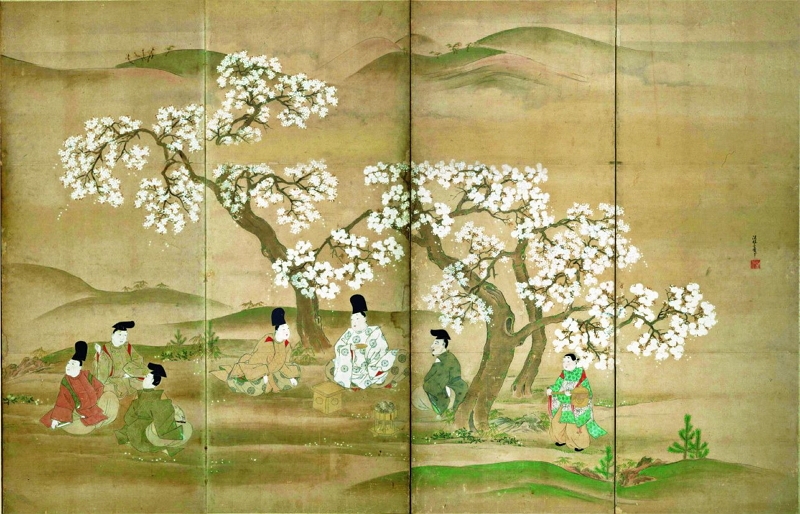 Почему цветущая сакура стала для японцев сакральным деревом