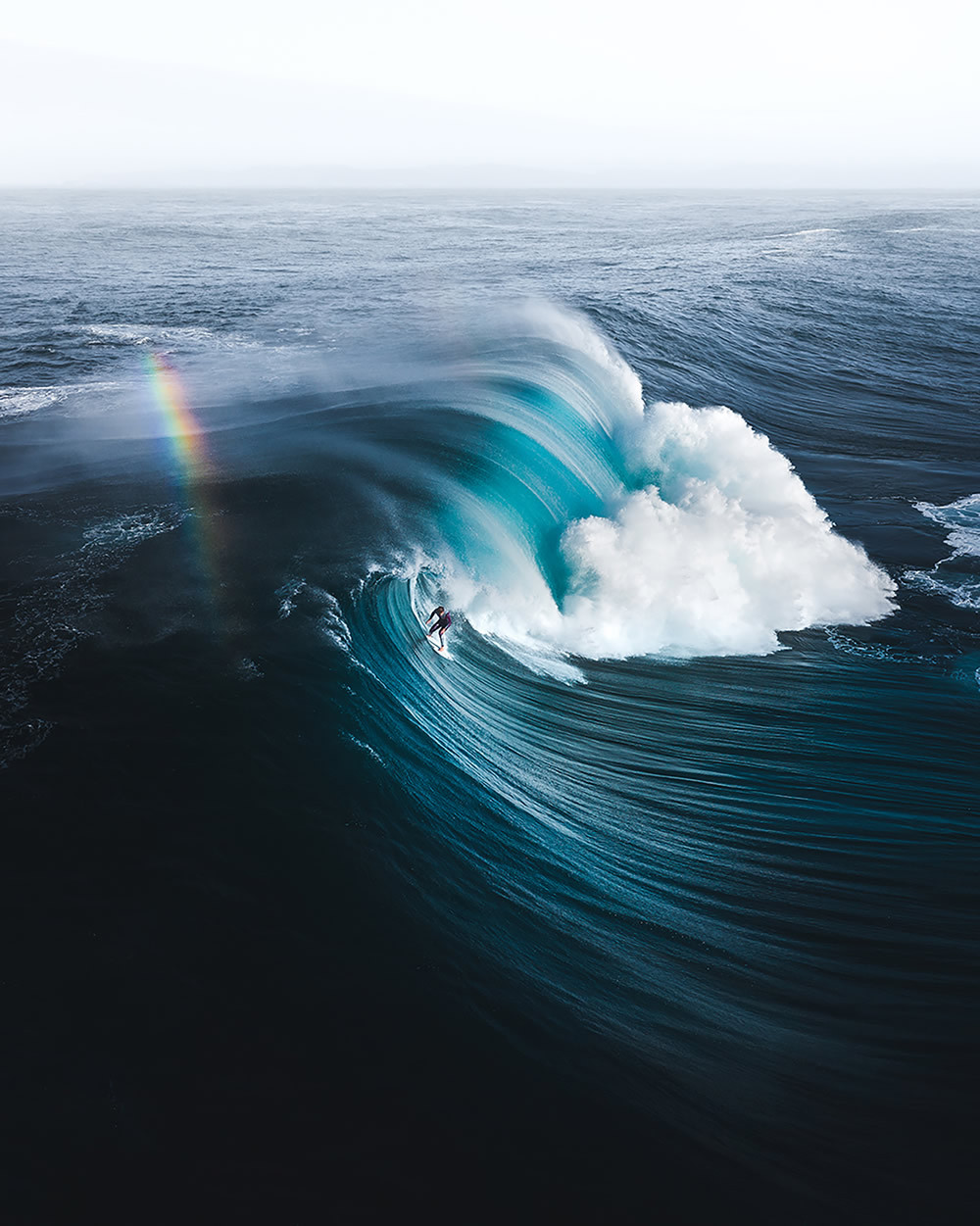 Финалисты конкурса на лучшую морскую фотографию Ocean Photography Awards 2021
