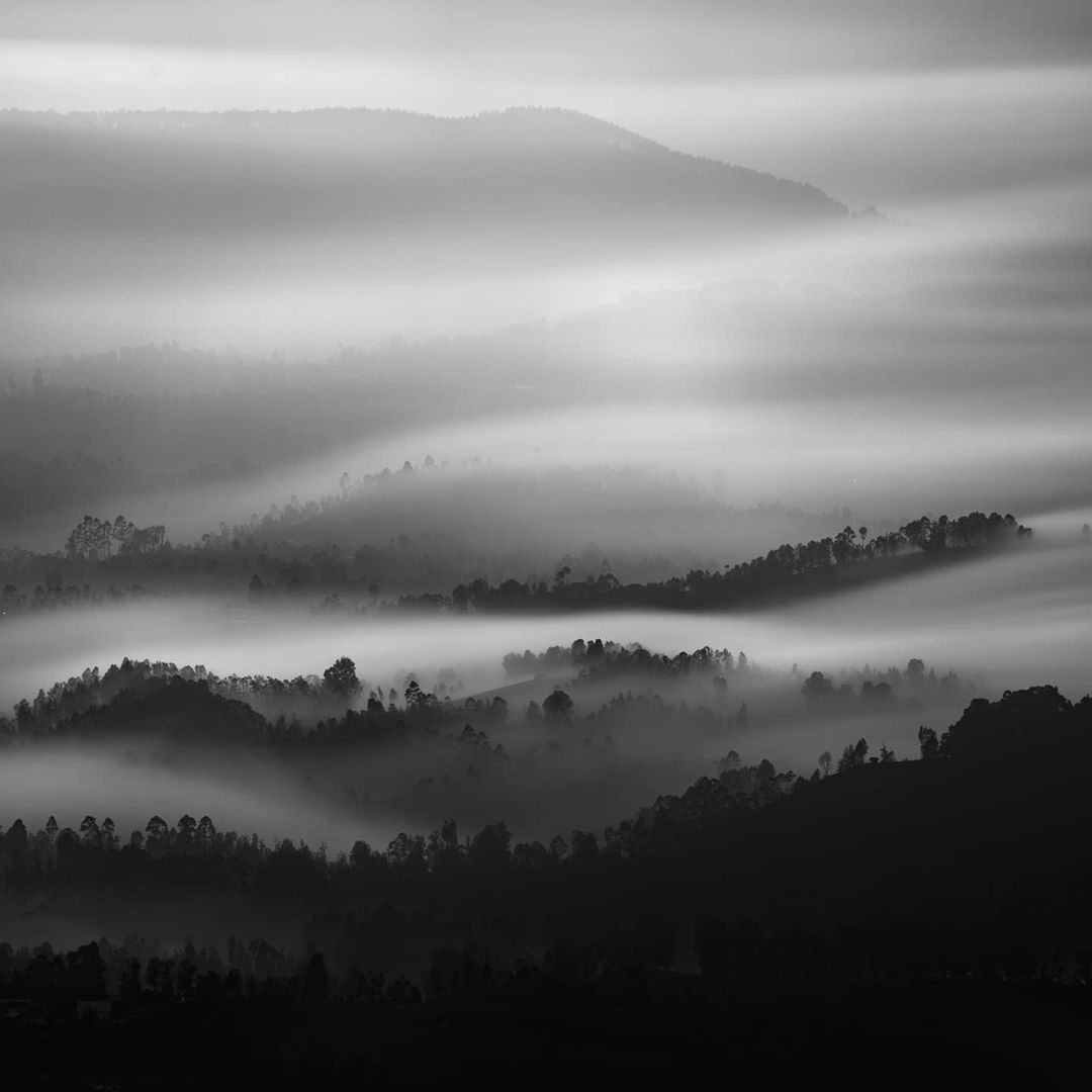 Впечатляющие черно-белые снимки от Дэниела Чонгари Впечатляющие черно-белые снимки от Дэниела Чонгари Картинки и фото