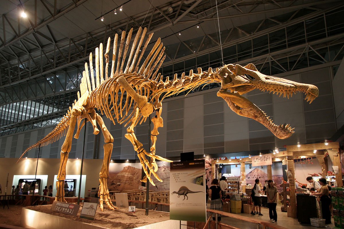 Кости динозавров - совсем даже не кости?