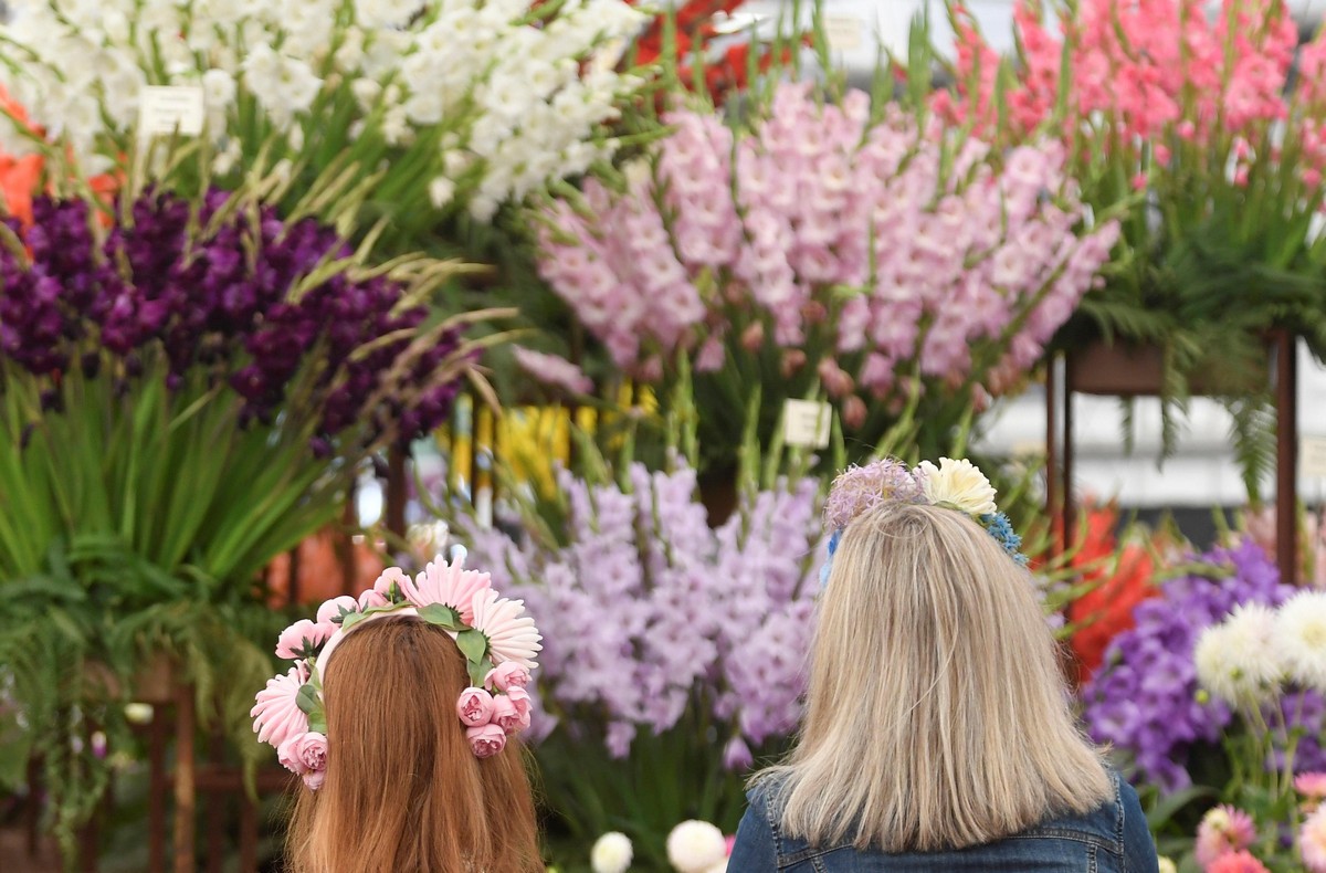 Цветочная выставка садов и цветов Chelsea Flower Show 2021