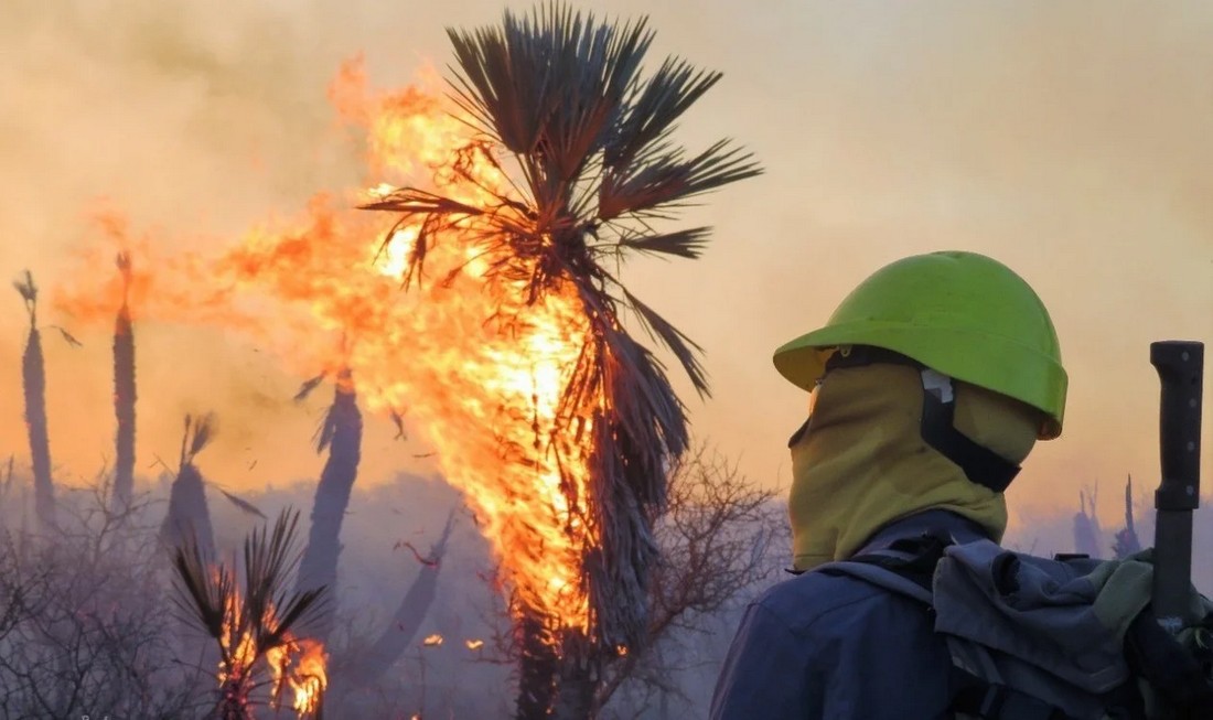 Снимки большого лесного пожара на севере Кордовы