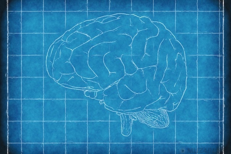 Необъяснимые тайны человеческого мозга