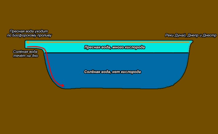 Почему Чёрное море на 90% заполнено сероводородом?