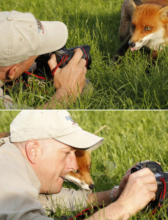Животные, которые неравнодушны к фотосъёмке