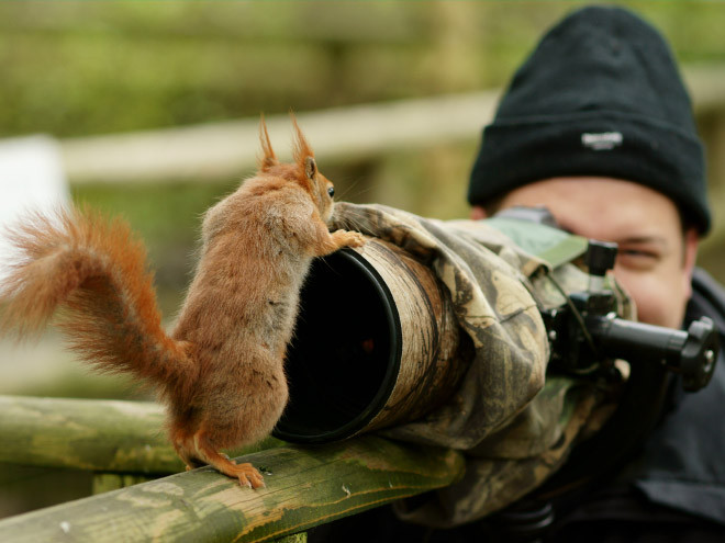 Животные, которые неравнодушны к фотосъёмке