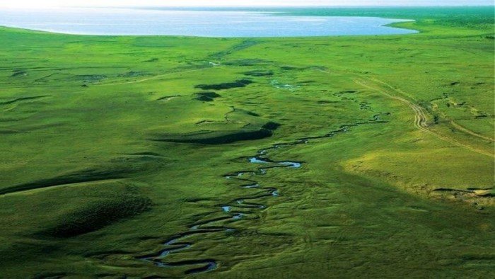 Самая узкая река планеты - 4 сантиметра в ширину