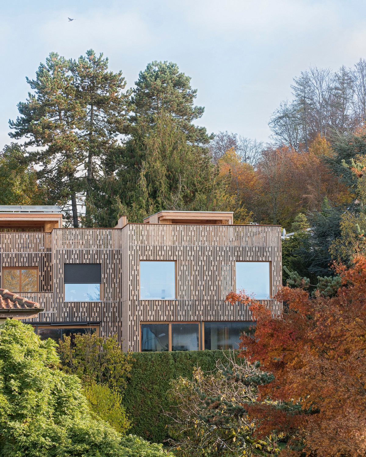 Три смежных дома с деревянным фасадом в Швейцарии
