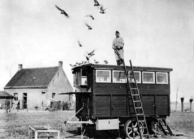 Мобильные голубятни Первой мировой, на которых перевозили птиц-почтальонов