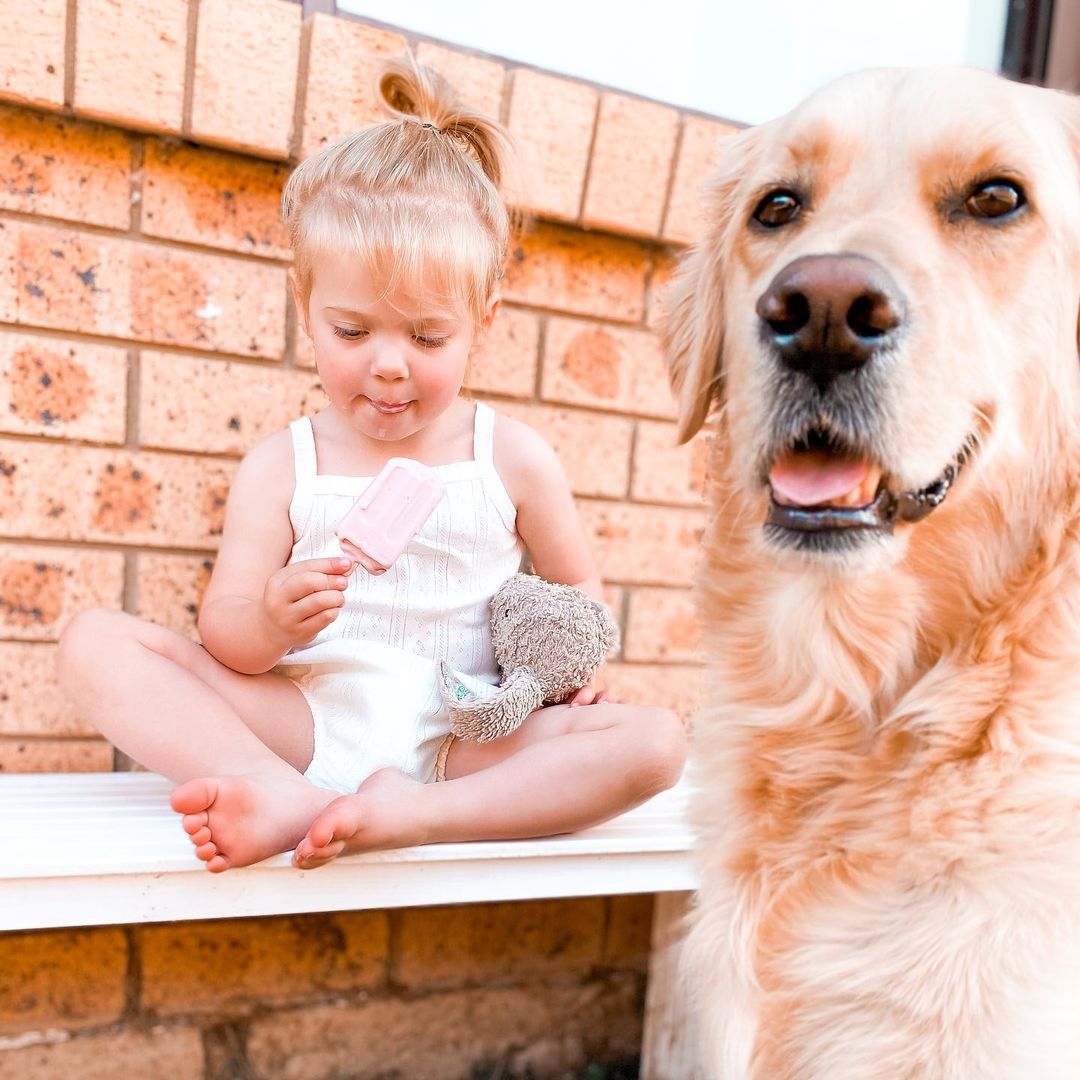 Дружба маленькой девочки и её большой собаки