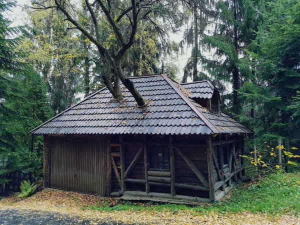 Как строить и одновременно беречь природу на снимках