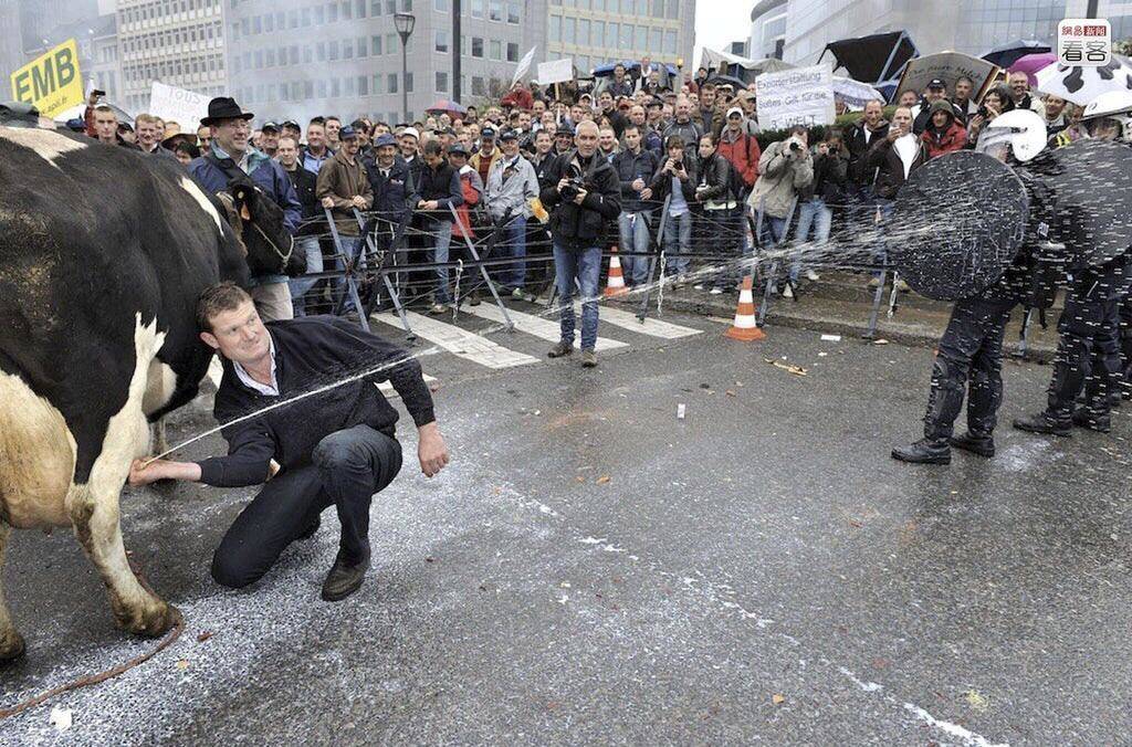 Подборка прикольных картинок