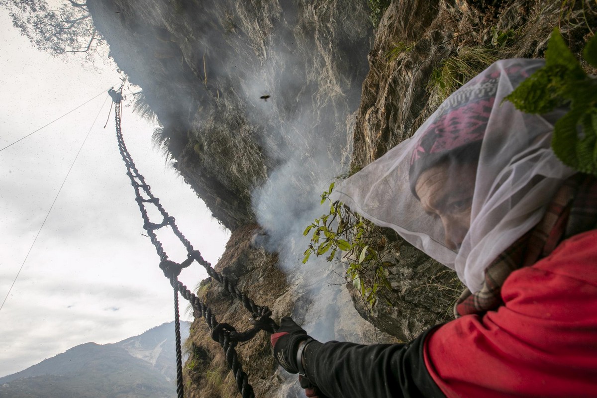 Непальские охотники за диким медом на снимках