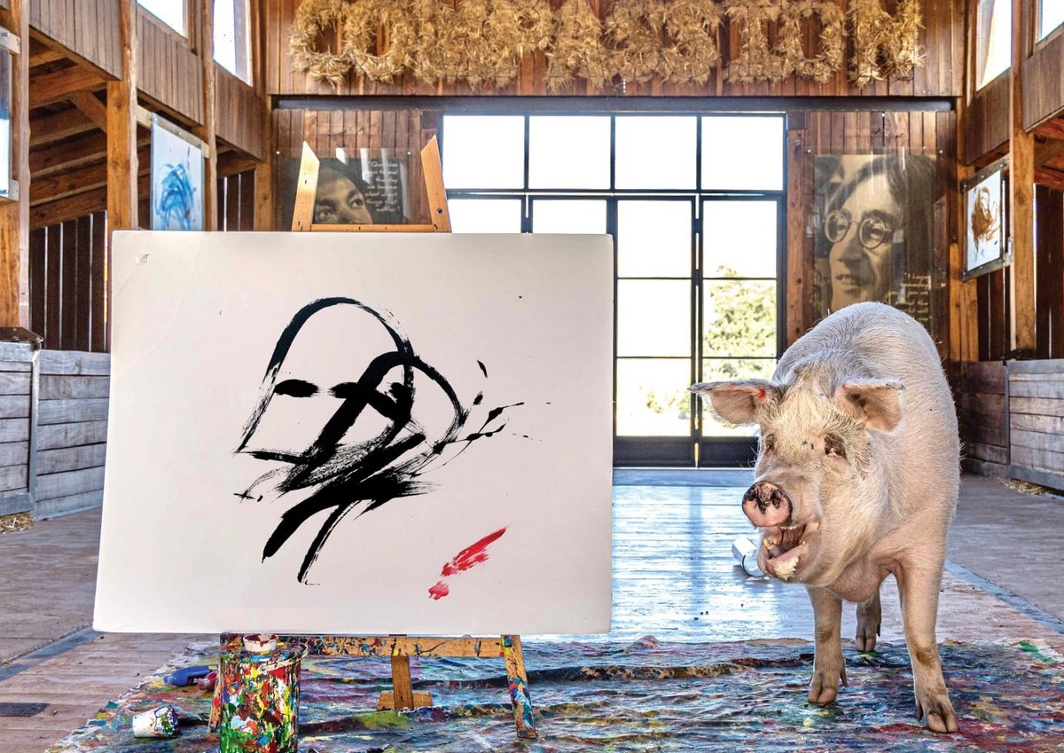 Свинья-живописец написала картину, которую продали за 20 000 фунтов стерлингов