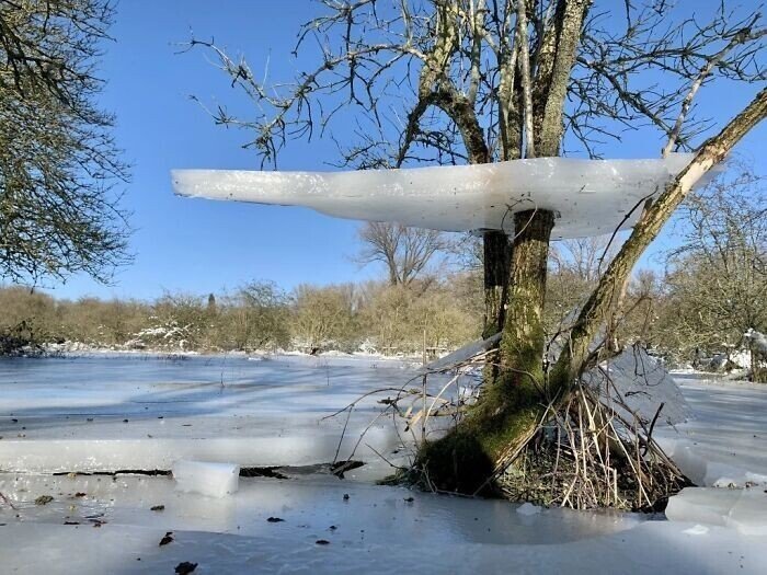 Снимки морозной зимы демонстрируют настоящий холод Природа