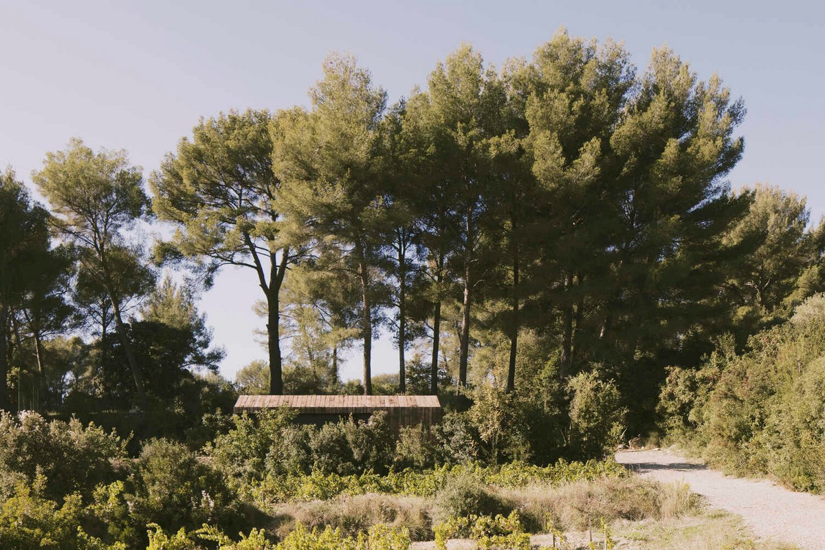 Деревянная хижина с экодизайном на юге Франции