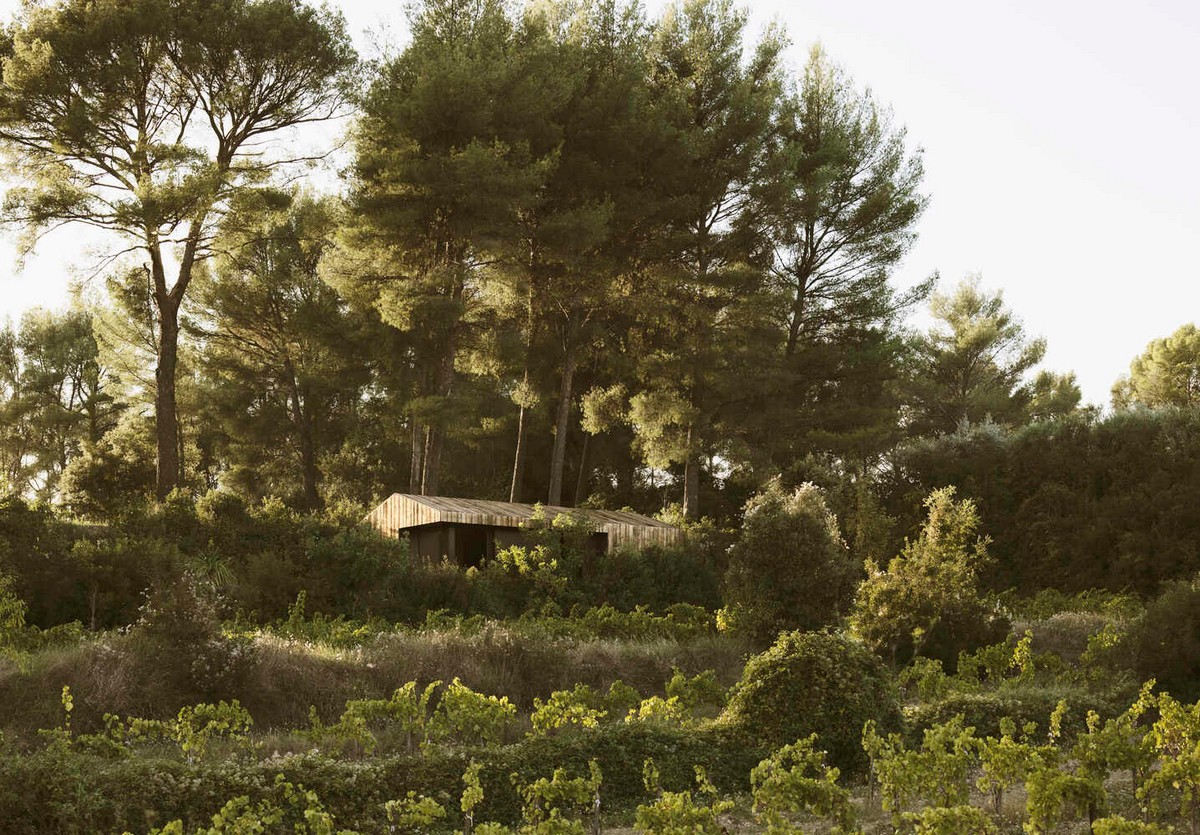 Деревянная хижина с экодизайном на юге Франции