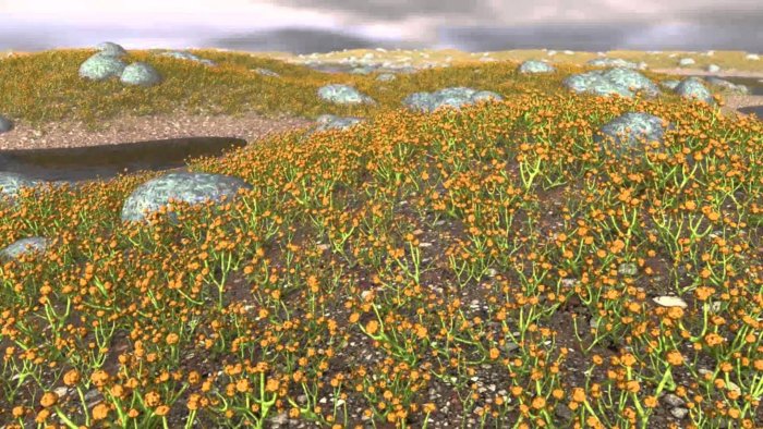 Растения использовали гены бактерий и грибов, чтобы колонизировать сушу
