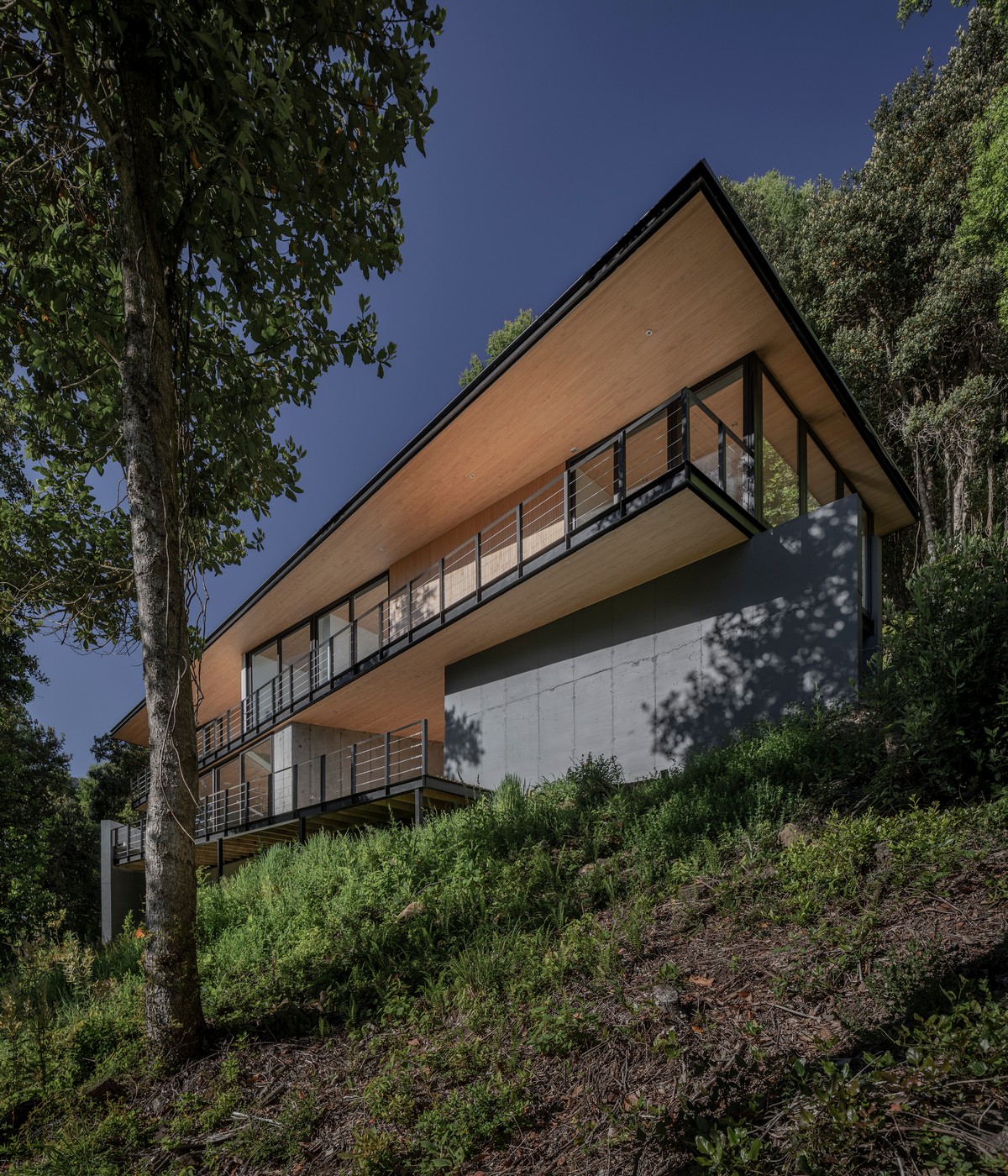 Треугольный загородный дом на крутом лесистом склоне в Чили