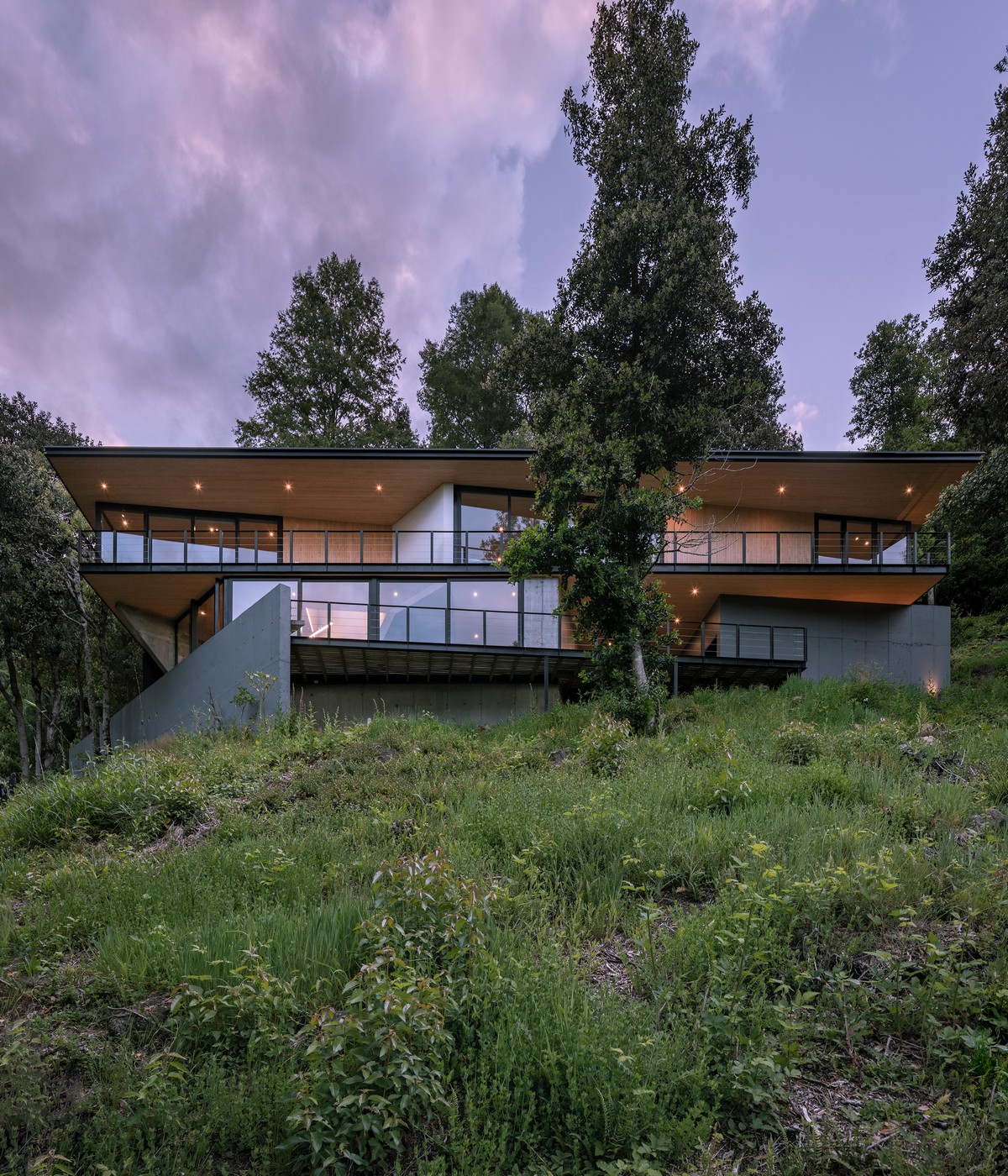 Треугольный загородный дом на крутом лесистом склоне в Чили