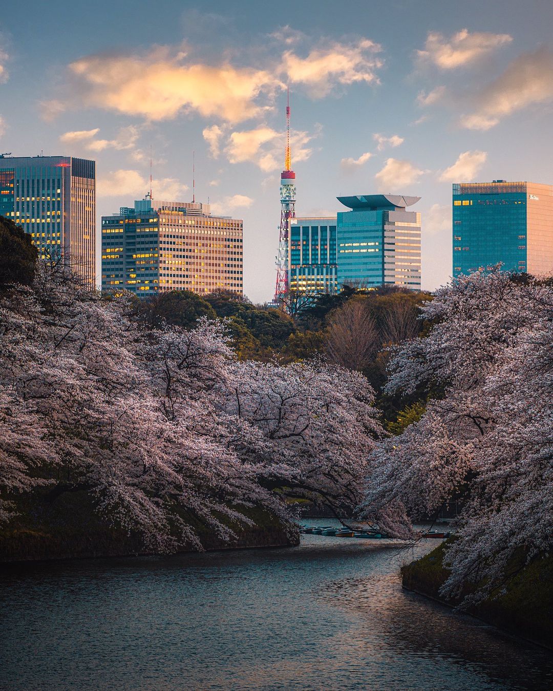 Япония на уличных снимках от Джеймса Такуми Шегуна