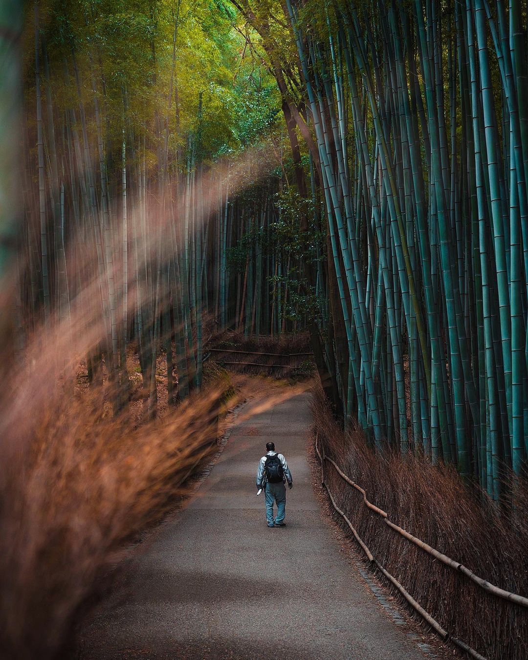Япония на уличных снимках от Джеймса Такуми Шегуна