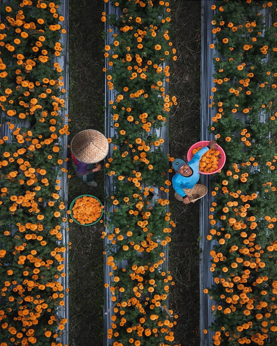 Красивые места мира из путешествий Джордана Хаммонда