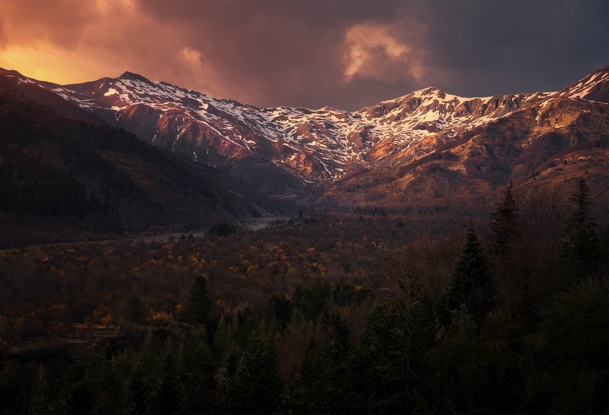 Природа и животные на снимках Александроса Малапетсаса