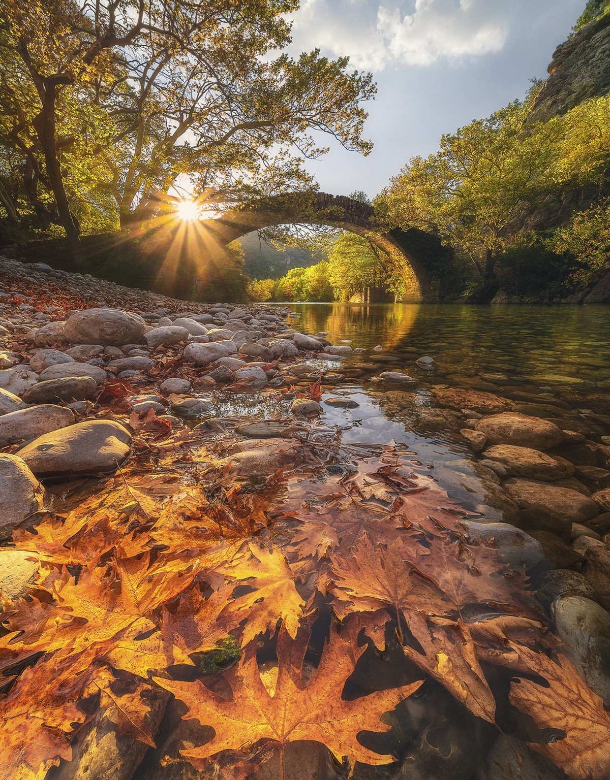 Природа и животные на снимках Александроса Малапетсаса