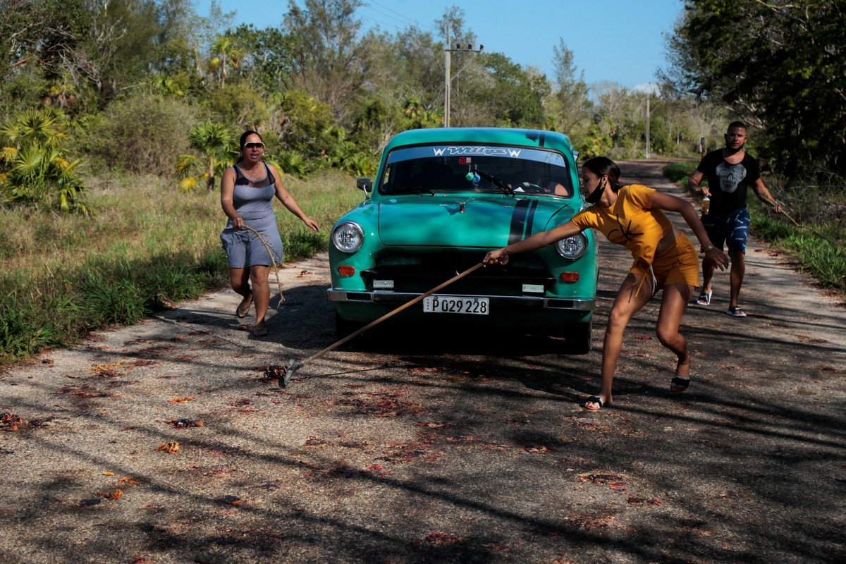 Интенсивная миграциия крабов-зомби на Кубе
