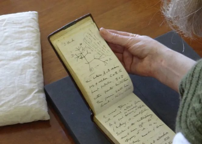 Тайна украденных записных книжек Чарльза Дарвина