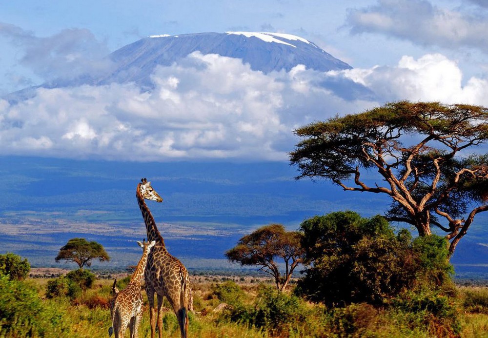 Самые красивые и очаровательные страны в Африке